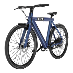 Bird Bike Starling Blue